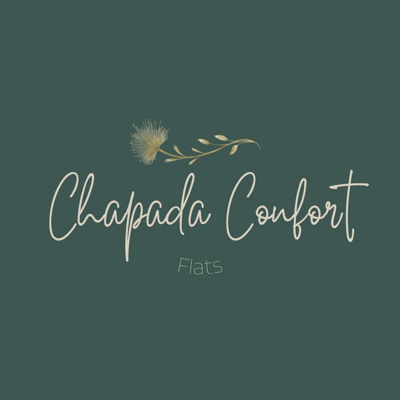 Chapada Confort Flats